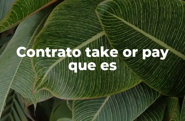 Aplicaciones del contrato take or pay en diferentes sectores