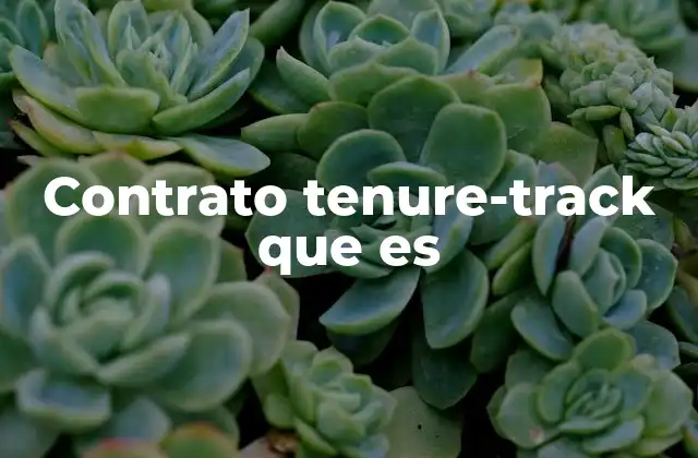 Contrato Tenure-track que es