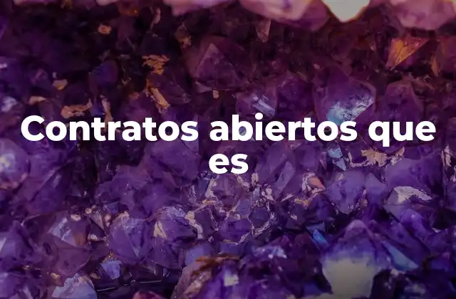 Contratos Abiertos que es