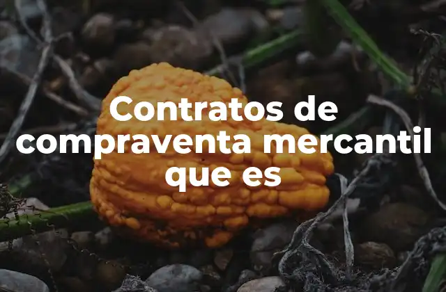 Contratos de Compraventa Mercantil que es 2 La importancia de los contratos en el comercio