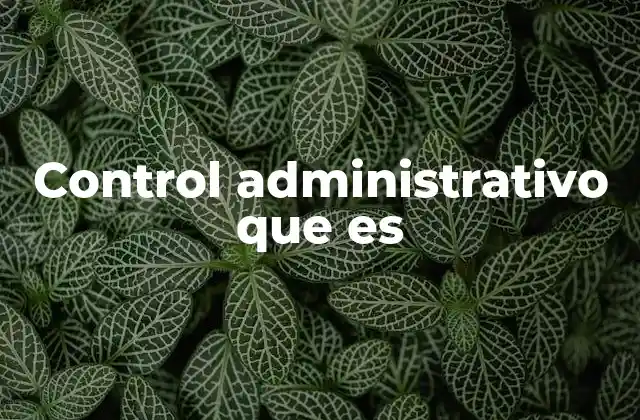 Control Administrativo que es