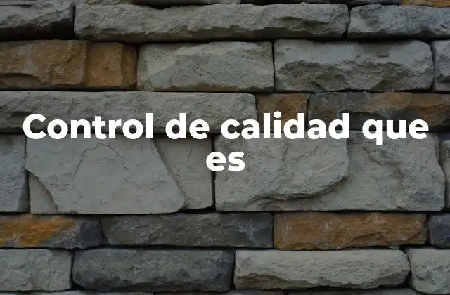 Control de Calidad que es
