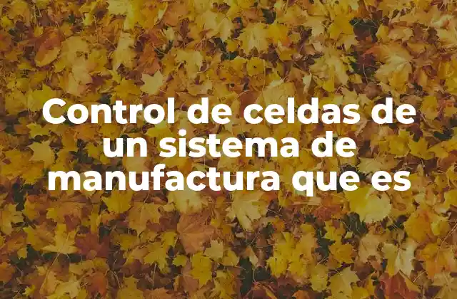 Control de Celdas de un Sistema de Manufactura que es