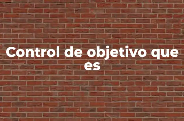 Control de Objetivo que es