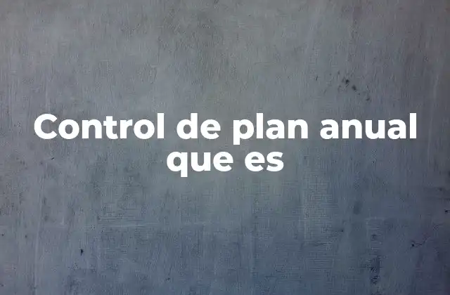 Control de Plan Anual que es