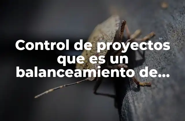 Control de Proyectos que es un Balanceamiento de Recursos