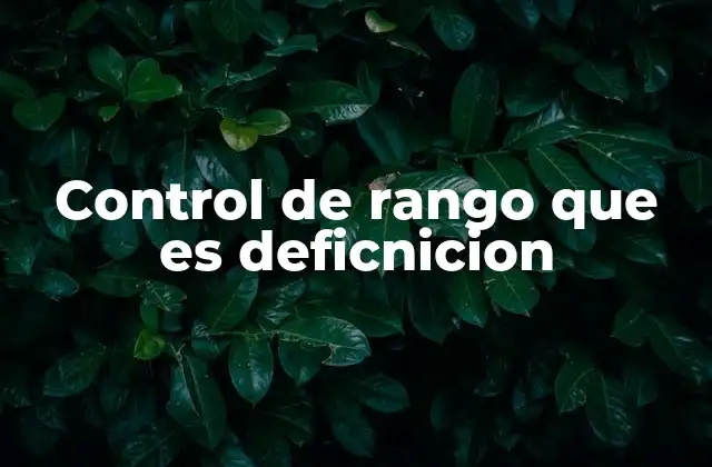 Control de Rango que es Deficnicion