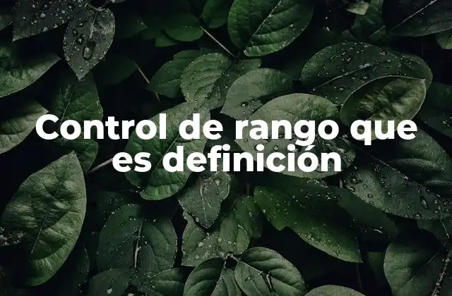 Control de Rango que es Definición