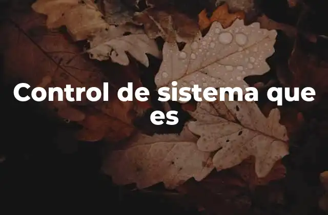 Control de Sistema que es