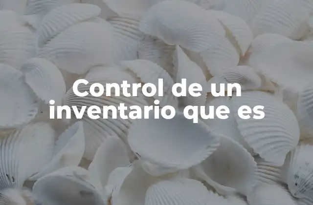 Control de un Inventario que es