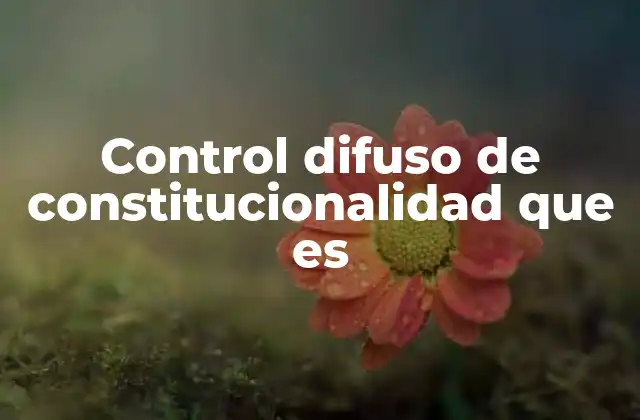 Control Difuso de Constitucionalidad que es