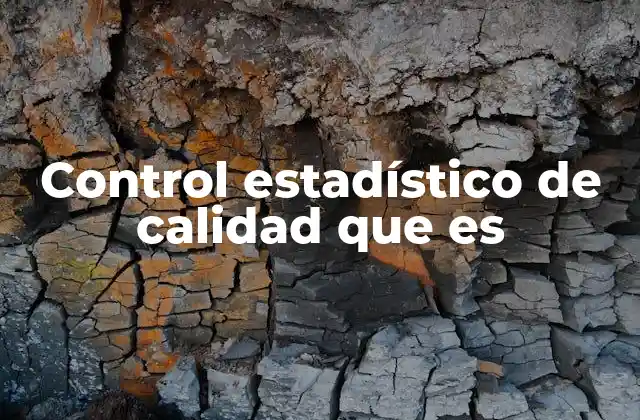 Control Estadístico de Calidad que es