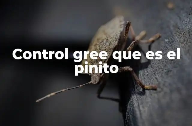 Control Gree que es el Pinito 2 Cómo el control Gree mejora la eficiencia energética