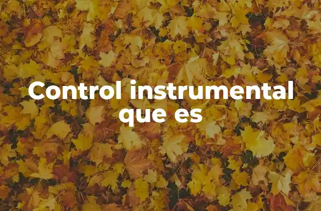 Control Instrumental que es