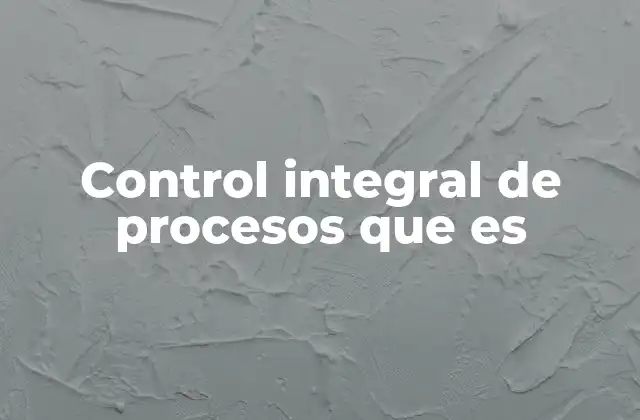 Control Integral de Procesos que es 2 La importancia de la visión sistémica en la gestión operativa