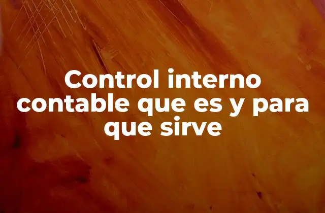 Control Interno Contable que es y para que Sirve