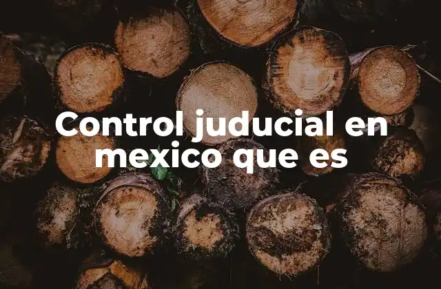 Control Juducial en Mexico que es