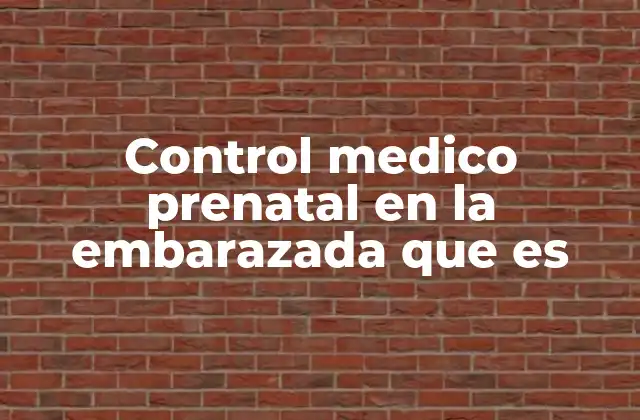 Control Medico Prenatal en la Embarazada que es