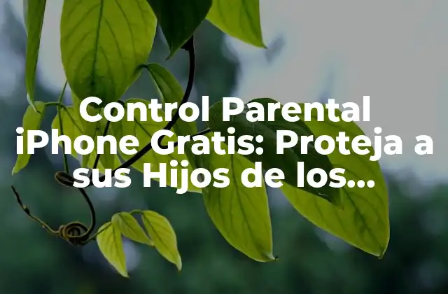 Control Parental Iphone Gratis: Proteja a Sus Hijos de los Peligros en Línea