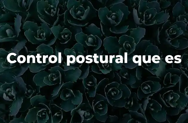 Control Postural que es