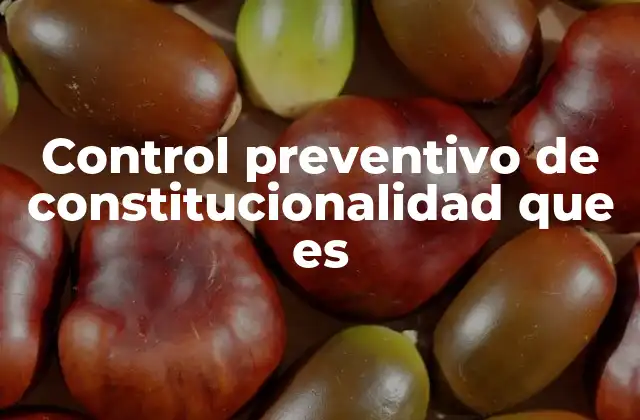 Control Preventivo de Constitucionalidad que es