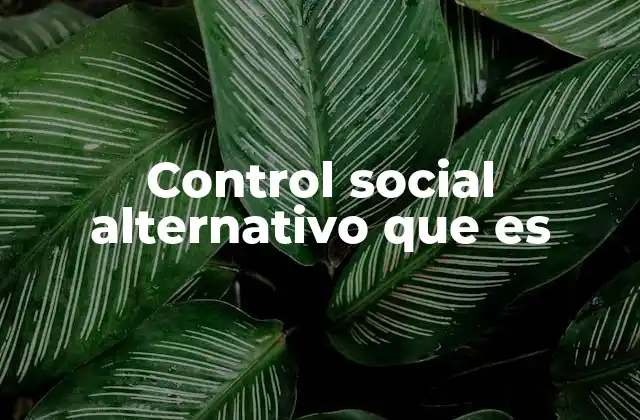 Control Social Alternativo que es