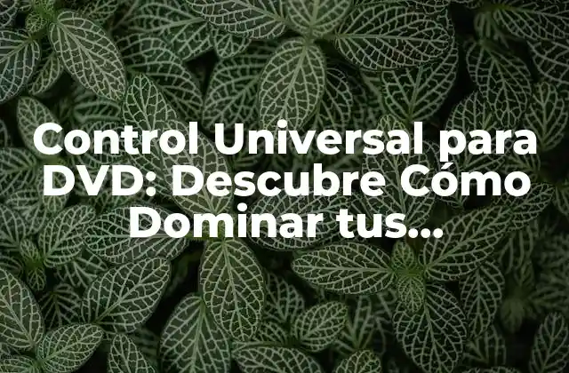 Control Universal para Dvd: Descubre Cómo Dominar Tus Dispositivos