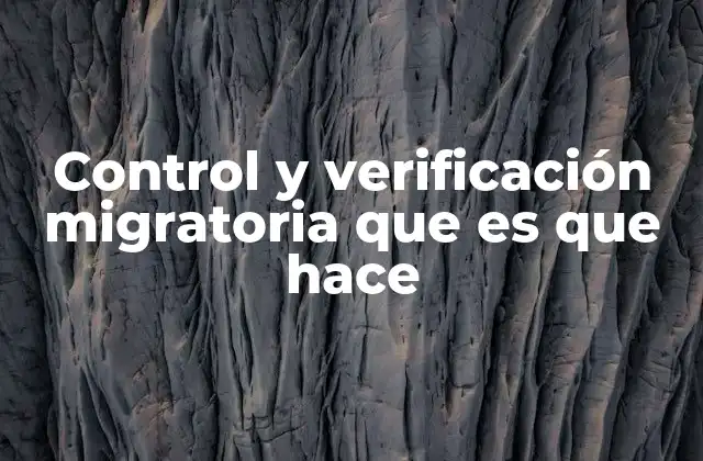 Control y Verificación Migratoria que es que Hace