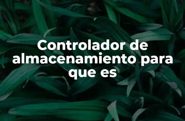 Controlador de Almacenamiento para que es