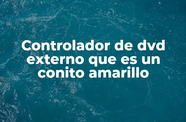 El controlador de DVD externo y su importancia en el sistema