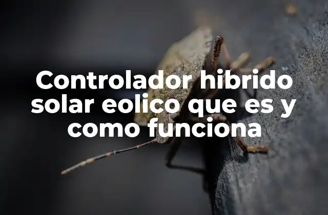 La importancia de integrar fuentes de energía alternativa