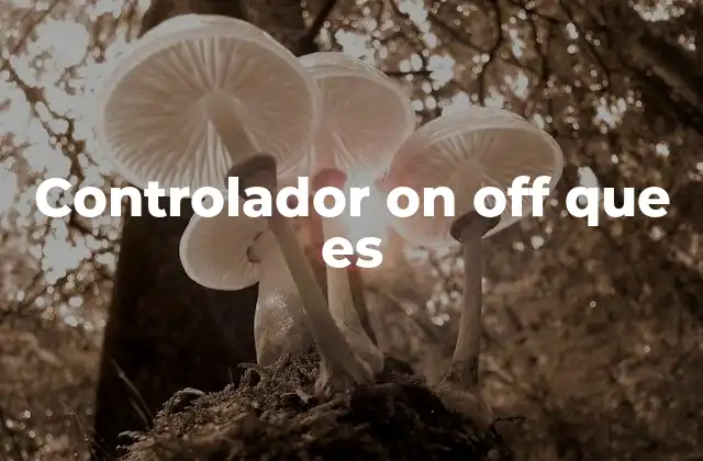 Controlador On Off que es