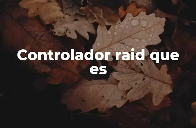 Funciones del controlador RAID en sistemas informáticos