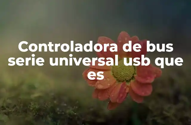 Controladora de Bus Serie Universal Usb que es