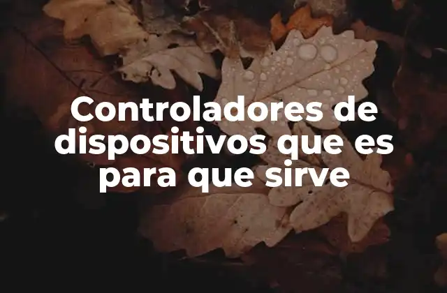 Controladores de Dispositivos que es para que Sirve