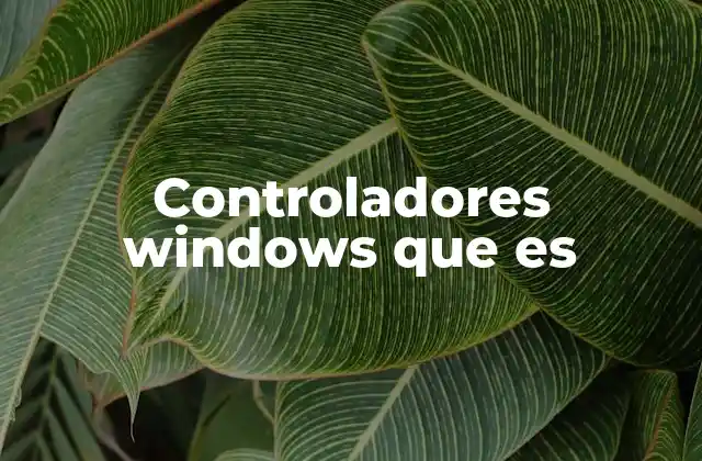 Controladores Windows que es