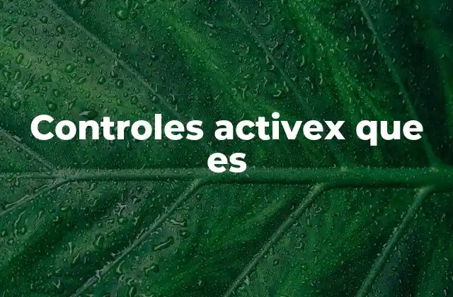 Controles Activex que es 2 La importancia de los controles en el desarrollo de software
