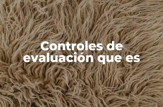 Controles de Evaluación que es