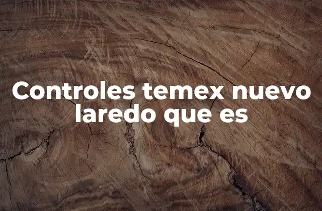 Controles Temex Nuevo Laredo que es