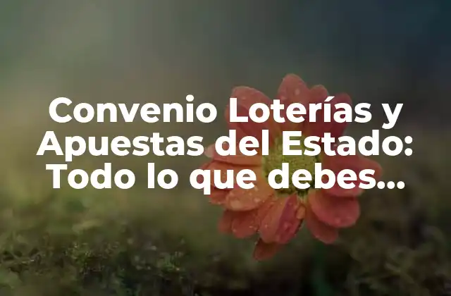Convenio Loterías y Apuestas Del Estado: Todo Lo que Debes Saber