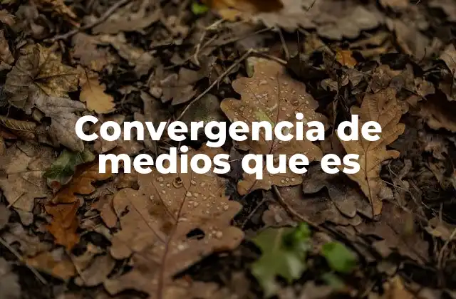 Convergencia de Medios que es