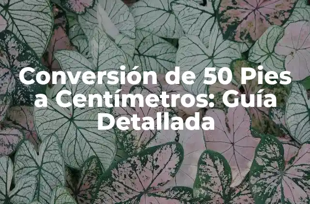 Conversión de 50 Pies a Centímetros: Guía Detallada