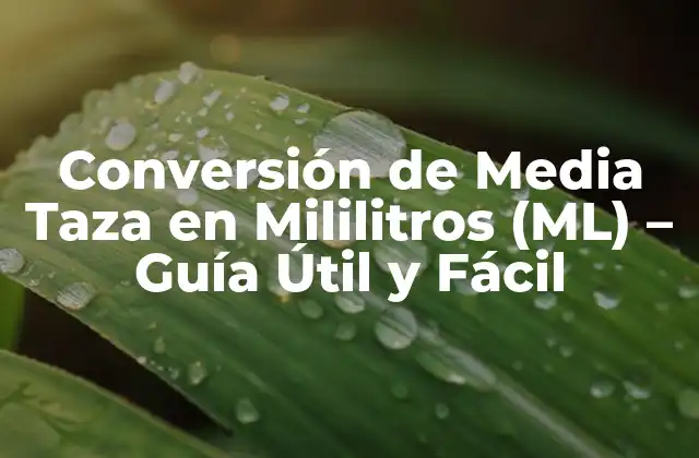 Conversión de Media Taza en Mililitros (ml) – Guía Útil y Fácil