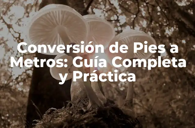 Conversión de Pies a Metros: Guía Completa y Práctica