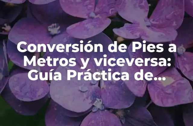 Conversión de Pies a Metros y Viceversa: Guía Práctica de Equivalencia