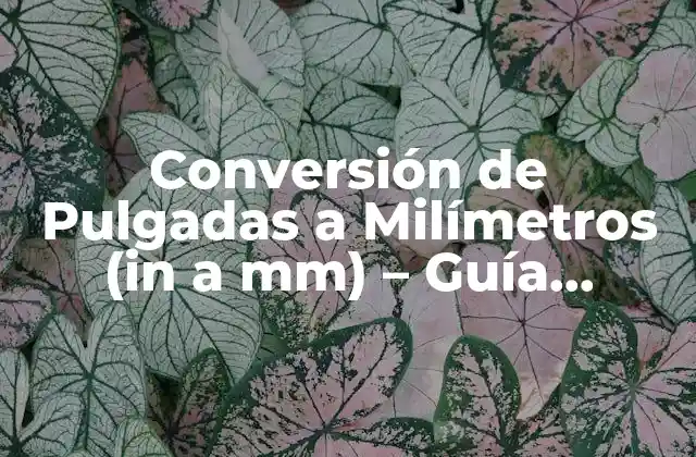 Conversión de Pulgadas a Milímetros (in a Mm) – Guía Completa