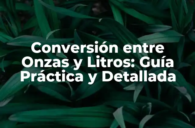 Conversión entre Onzas y Litros: Guía Práctica y Detallada 2 ¿Qué es una Onza y qué es un Litro?