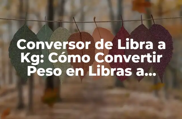 Conversor de Libra a Kg: Cómo Convertir Peso en Libras a Kilogramos con Precisión