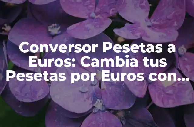 Conversor Pesetas a Euros: Cambia Tus Pesetas por Euros con Facilidad