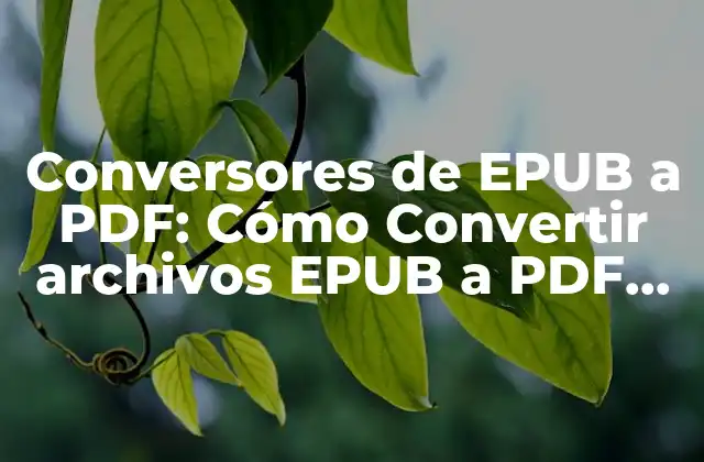 Conversores de Epub a Pdf: Cómo Convertir Archivos Epub a Pdf de Forma Rápida y Fácil